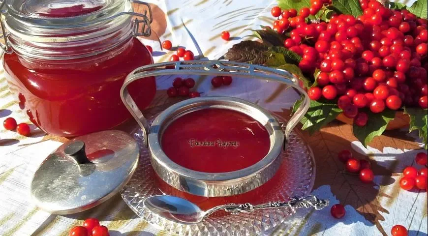 Желе из калины